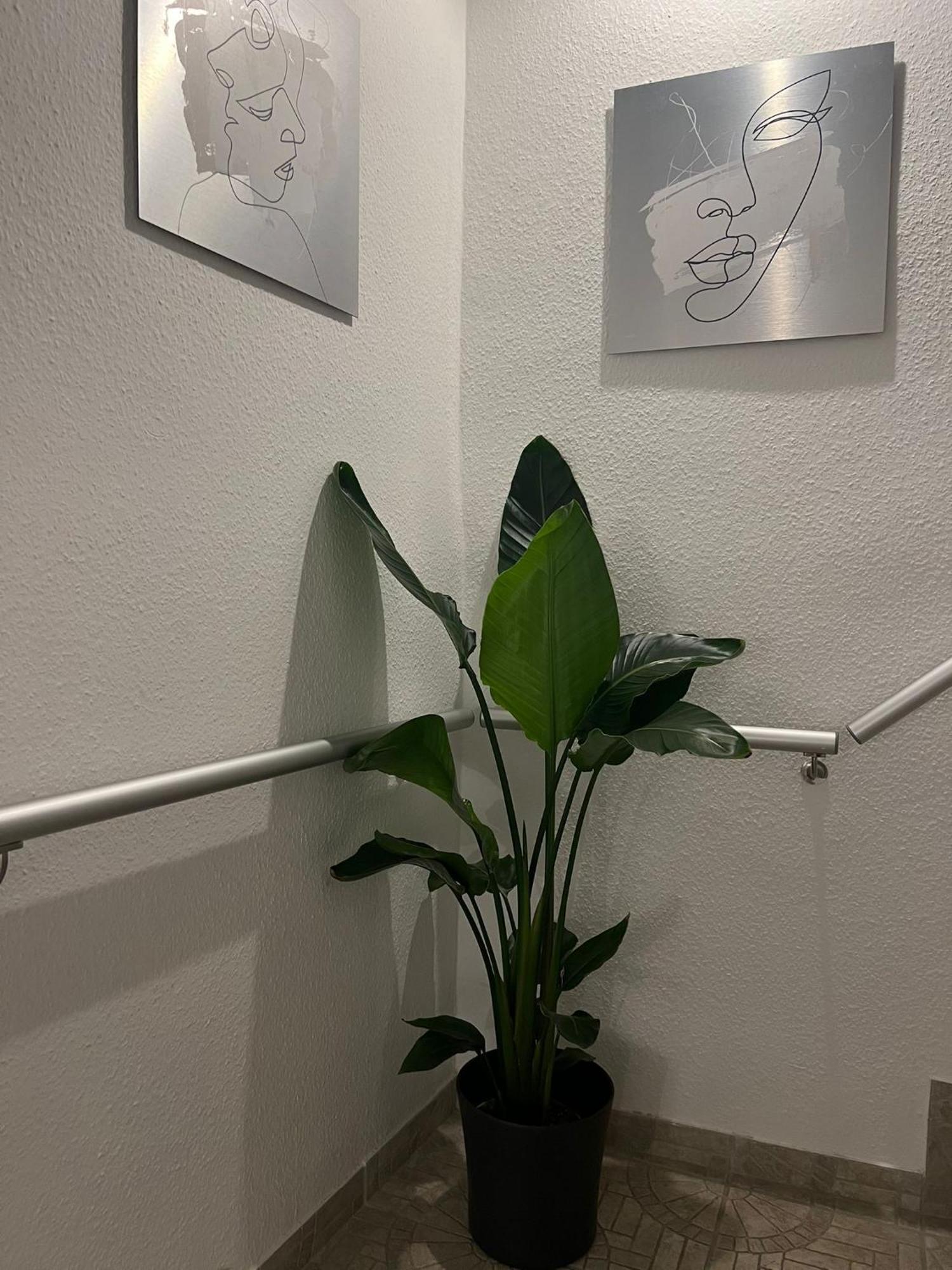 Royal Haus Dusseldorf